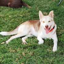 Thumbnail photo of Bennett #1