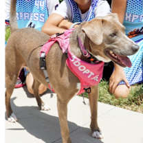 Thumbnail photo of Winnie #1