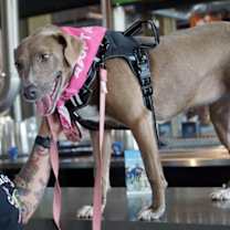 Thumbnail photo of Winnie #3