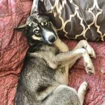 Thumbnail photo of Blair #1