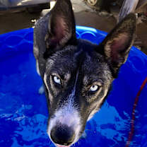 Thumbnail photo of Blair #2