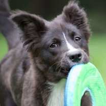 Thumbnail photo of Flower #2