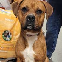 Thumbnail photo of Pumba #1