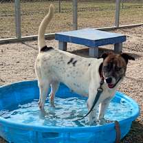 Thumbnail photo of Brittany #1