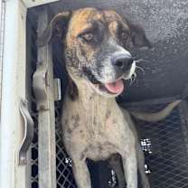 Thumbnail photo of Brittany #3