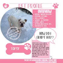 Thumbnail photo of Topsy #1