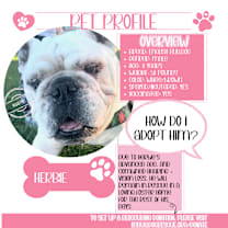 Thumbnail photo of Herbie-Not accepting applications #1