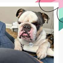Thumbnail photo of Merk #2