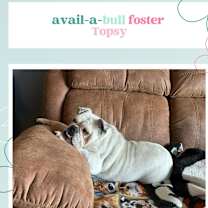 Thumbnail photo of Topsy #2