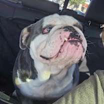 Thumbnail photo of Merk #3