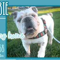 Thumbnail photo of Herbie-Not accepting applications #3