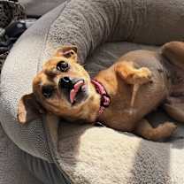 Thumbnail photo of Frida #2