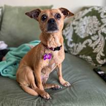 Thumbnail photo of Frida #1