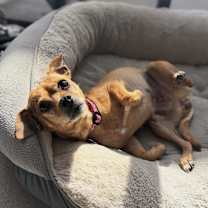 Thumbnail photo of Frida #3