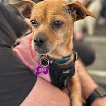 Thumbnail photo of Frida #4