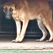 Thumbnail photo of Chile #3