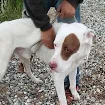 Thumbnail photo of JOHNNY #1