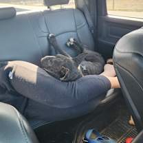 Thumbnail photo of Cedric #3