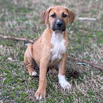 Thumbnail photo of Ripley #2