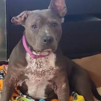 Thumbnail photo of Roxanne #1