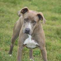 Thumbnail photo of Bell-amazing #2