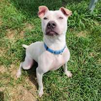 Thumbnail photo of Lumpre #2