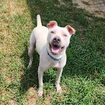 Thumbnail photo of Lumpre #3