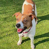 Thumbnail photo of Kelly #1