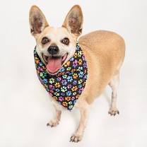 adopt-pet