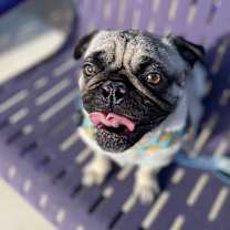 Thumbnail photo of Leroy Brown #4