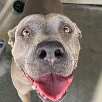 Thumbnail photo of MEERA #1