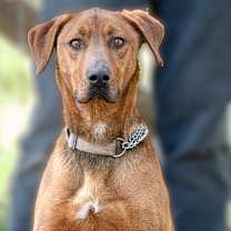 Thumbnail photo of CHANCE #2