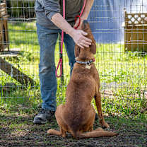 Thumbnail photo of CHANCE #3