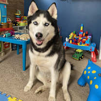 Thumbnail photo of Thor #2