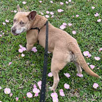 Thumbnail photo of Ginny #3