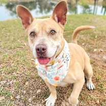 Thumbnail photo of Ginny #4