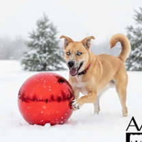 Thumbnail photo of Milo #1