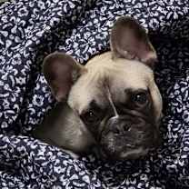 Thumbnail photo of Phil #3