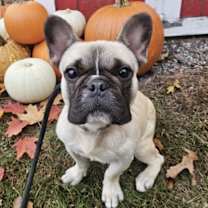 Thumbnail photo of Phil #4