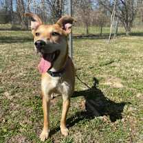 Thumbnail photo of Elene #2