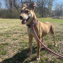 Thumbnail photo of Elene #3