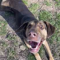 Thumbnail photo of YULE #4