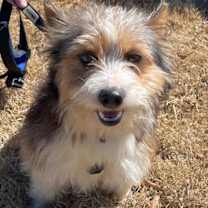 Thumbnail photo of Max #1