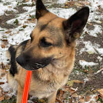 Thumbnail photo of Ella #4