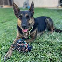 Thumbnail photo of Chula 2 #1