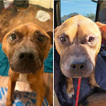 Thumbnail photo of Chance #3