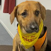 Thumbnail photo of Sissy #2