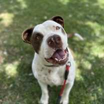 Thumbnail photo of Gumbo #1