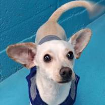 Thumbnail photo of 160759 #3