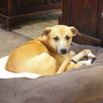 Thumbnail photo of Davey #2